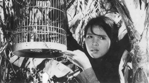 Phát hành phim kinh điển của điện ảnh Việt Nam dưới hình thức DVD